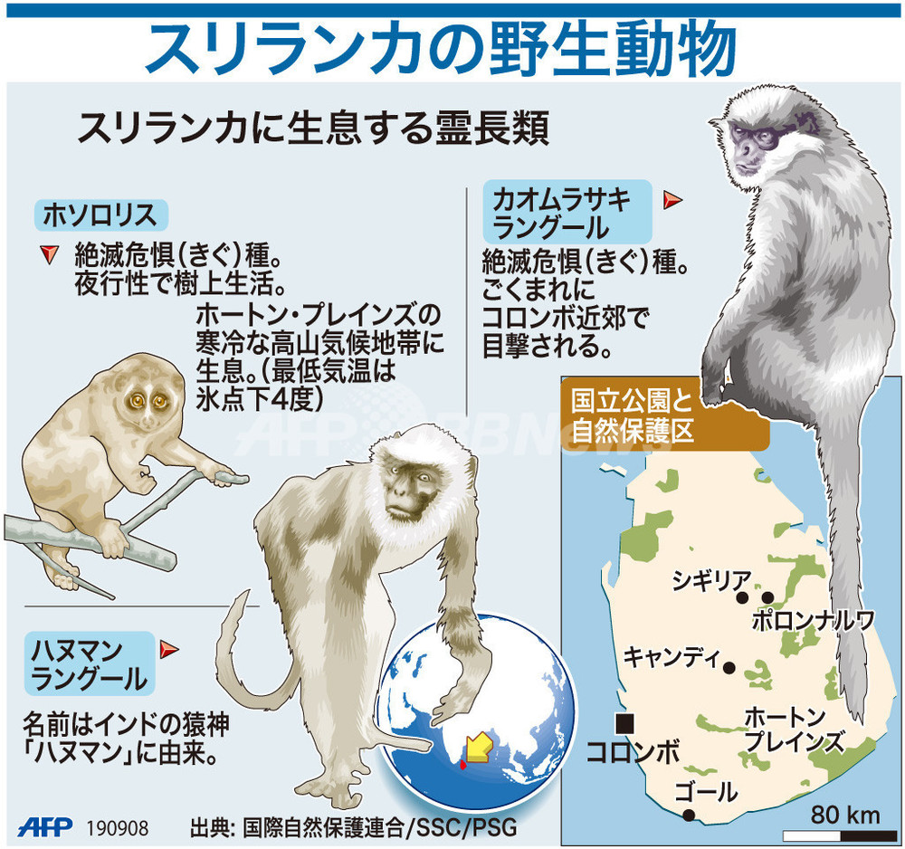 図解 スリランカの野生動物 写真1枚 国際ニュース Afpbb News