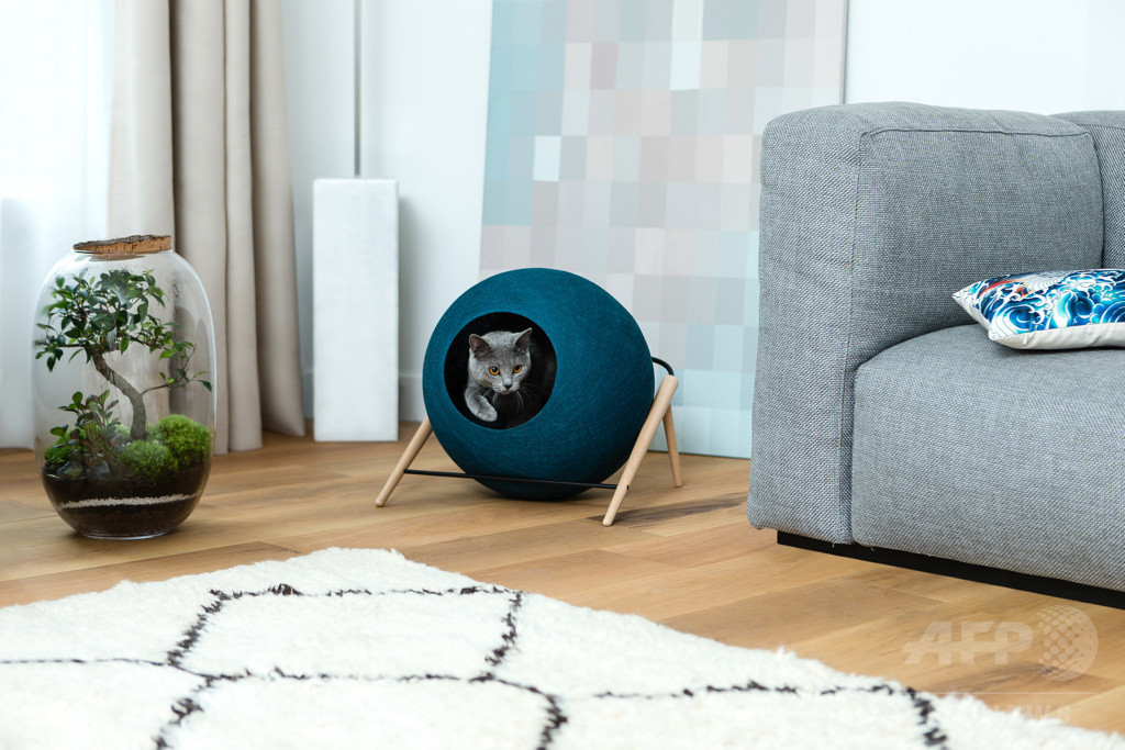 パリ発「MEYOU」日本初上陸、おしゃれなキャットハウス