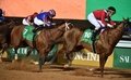 競馬のサウジカップで優勝したマキシマムセキュリティ（左、2020年2月29日撮影）。(c)FAYEZ NURELDINE / AFP