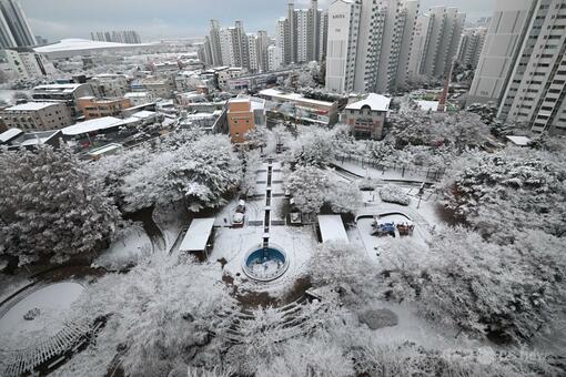 韓国ソウル近郊で積雪 写真14枚 国際ニュース：AFPBB News