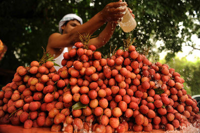 ライチ果実の毒素で脳炎発症か、子ども31人死亡 インド