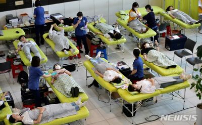 2037年以降に「人工」モノの実用化 [KWレポート] 「血液が足りない」韓国の叫び (7)