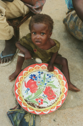 「この皿に食べ物を乗せる日が来るのか」
