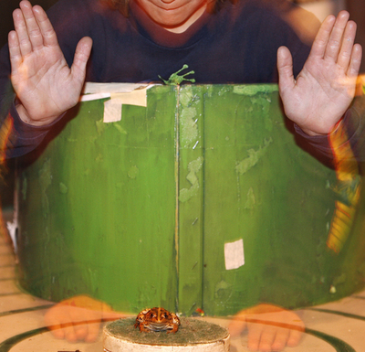 その先には自由が待っている、カエルの幅跳びコンテスト - クロアチア