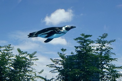 ペンギンだって空を飛べる？ サンシャイン水族館の新展示