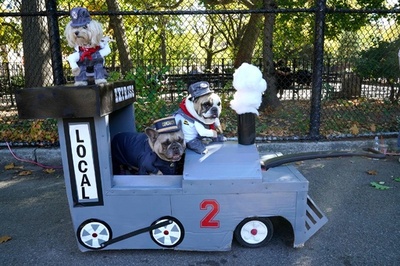 思い思いの仮装で 米NYでドッグパレード