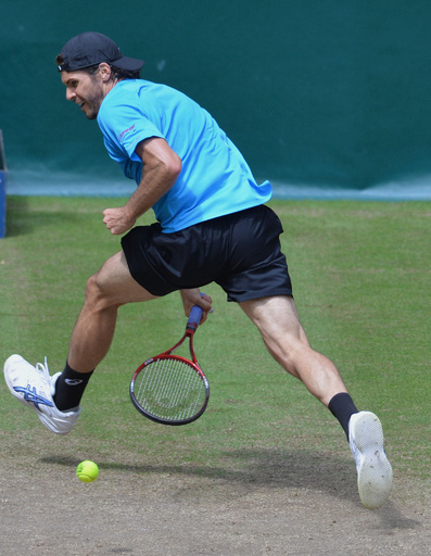 フェデラーがハースを下し決勝進出、ゲリー・ウェバー・オープン