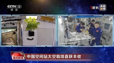 中国宇宙ステーションにある「宇宙菜園」で野菜が豊作