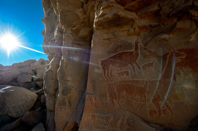 古代砂漠文化の秘密を明かすリャマの壁画、チリ・アタカマ