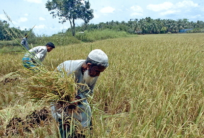 ADB年次総会閉幕、食料危機対策で520億円規模の緊急支援