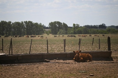 5日間で気温差30度、熱波から降雪へ アルゼンチン