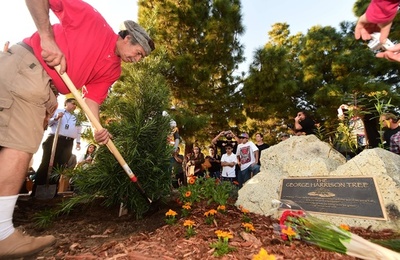 「ビートル」に食い荒らされたG・ハリスンさんの記念樹、再植樹