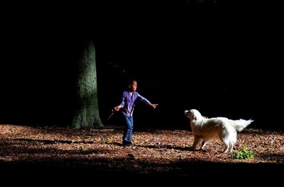 改変エイズウイルスで小児白血病の治療に成功、「家族の世界変えた」と両親