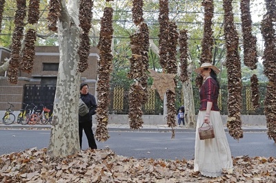 掃除はしません！ 落ち葉のある景観づくり　中国・上海市