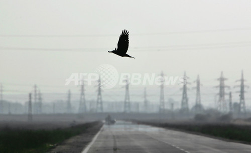 ネパール政府庁舎が停電 カラスの感電死が原因 写真1枚 ファッション ニュースならmode Press Powered By Afpbb News