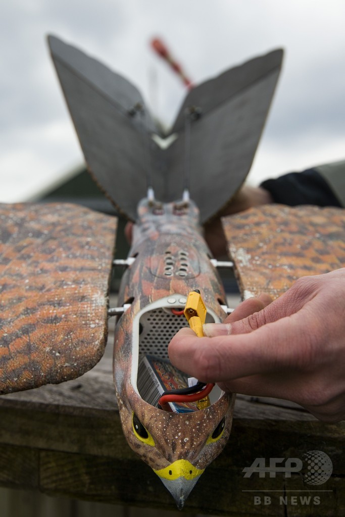 野鳥追い払う「Robird」、空港やごみ処理場で活躍