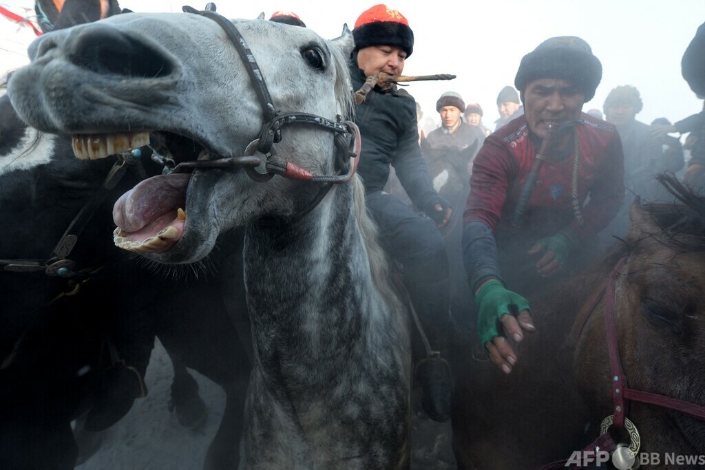国際ニュース：AFPBB News伝統の騎馬競技開催 キルギス