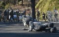 東京・日野市の多摩動物公園で行われた捕獲訓練に登場したユキヒョウ役の職員（2015年2月10日撮影）。(c)AFP/TOSHIFUMI KITAMURA