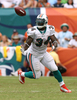 サンディエゴ・チャージャーズ戦でパスをレシーブするマイアミ・ドルフィンズのリッキー・ウィリアムズ（%%Ricky Williams%%）。（2008年10月5日撮影）(c)AFP/Getty Images/Doug Ben