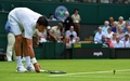 テニス、ウィンブルドン選手権、男子シングルス1回戦。試合中に飛んできた小鳥を追い払うノバク・ジョコビッチ（2015年6月29日撮影）。(c)AFP/GLYN KIRK