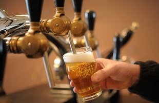 ホップなしでホップの香り、持続可能なクラフトビール製法 研究