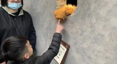 この冬は「熊の手」で癒やされる 上海