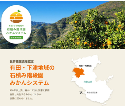 国際連合食糧農業機関から世界農業遺産に認定された 有田・下津地域の石積み階段園みかんシステム！ 有田みかんをＪＡタウン「みかんの里 ありだ」ショップで販売