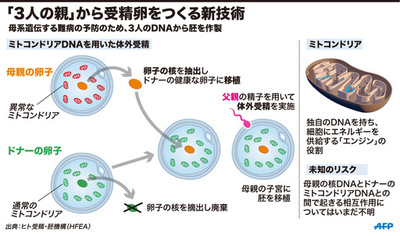 「3人のDNA持つ赤ちゃん誕生」をめぐる問題と懸念