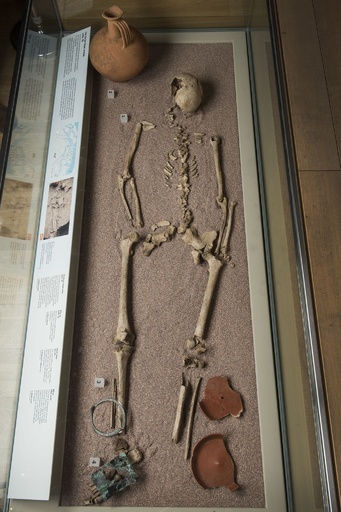 初期ロンドン住民の骨から複数民族の遺伝子、英博物館調査で判明