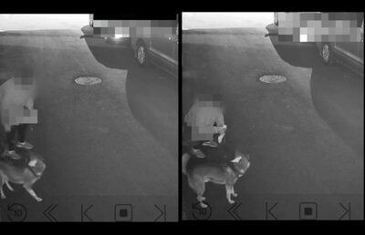 「1週間に1度、家の前に排せつ物」…韓国・犯人は犬でなく、まさかの「飼い主」だった