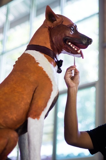 タイ前国王の葬儀控え、愛犬の像が完成