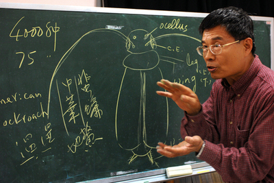 本当はとてもきれい好き、ゴキブリの驚きの生命力 - 台湾