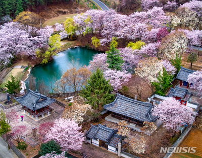 慶尚南道「春の旅行地18カ所おすすめ」（下） – KOREA WAVE