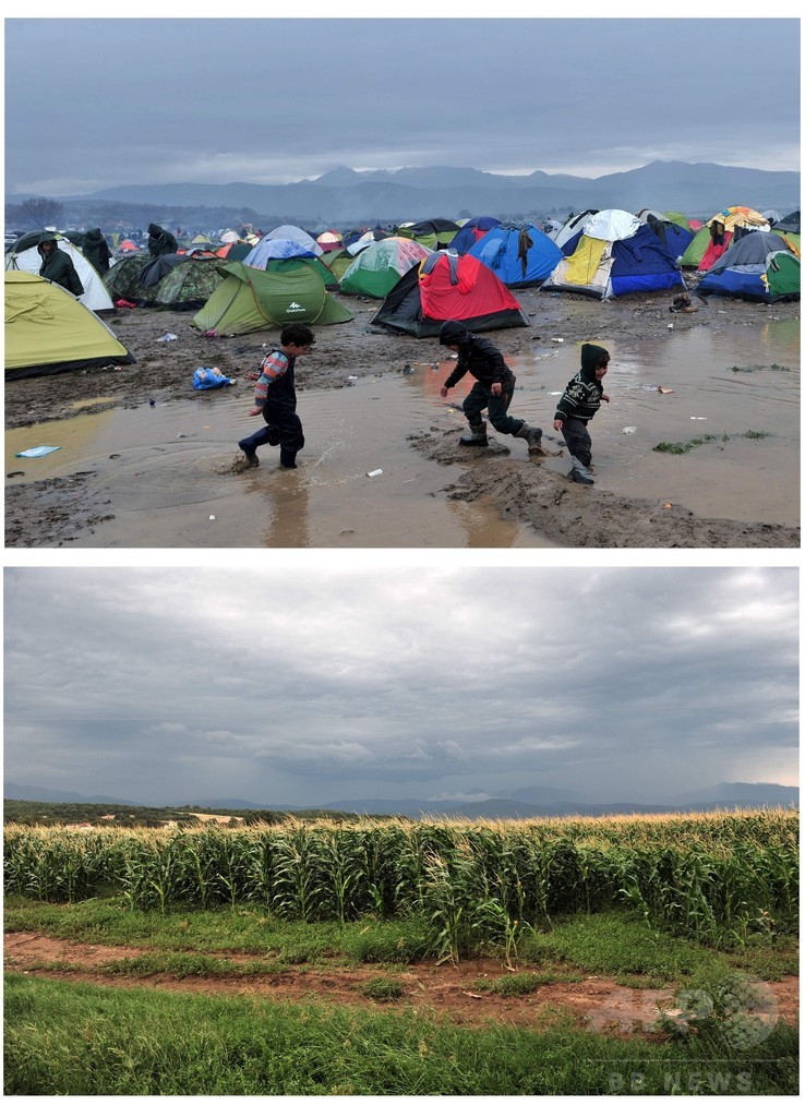 ギリシャ国境沿いの難民キャンプ、撤去から3か月