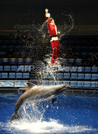 サンタとイルカが豪快ジャンプ、品川アクアスタジアム 写真4枚 国際