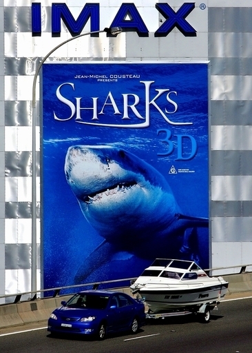 豪でまたサメ被害2件、少女ら負傷