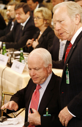 マケイン米上院議員、同盟国にアフガニスタン増派呼びかけ - ドイツ