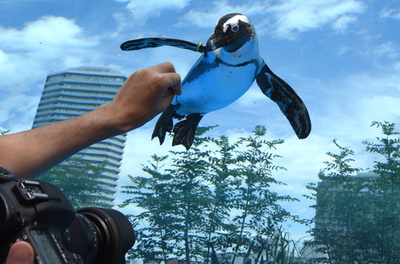 ペンギンが空を飛ぶ⁉ サンシャイン水族館に新設展示　東京