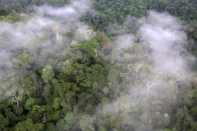 森で迷った女性、「ブッシュクラフト」で生還 オーストラリア