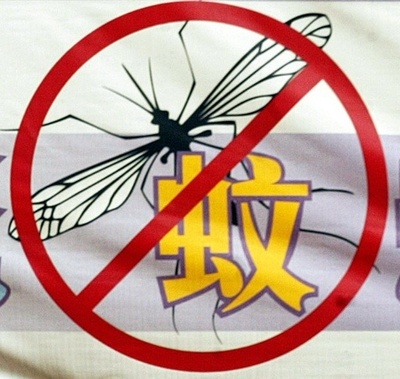 フィリピン中部でデング熱流行、感染者1800人超す