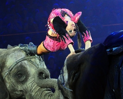 サーカス団が華麗な新作公演、ハンガリー