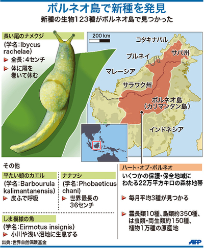 【図解】ボルネオ島の熱帯雨林「ハート・オブ・ボルネオ」