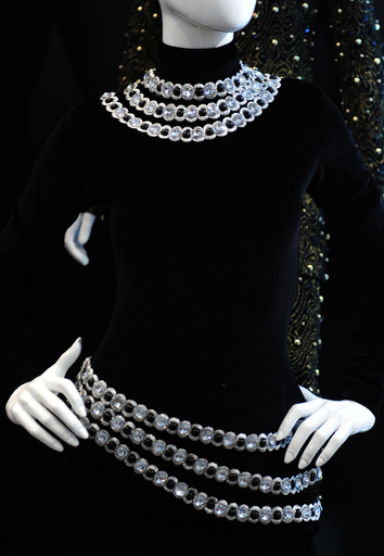 ハリウッドでオークション、ホイットニー・ヒューストンさんの衣装も 米国