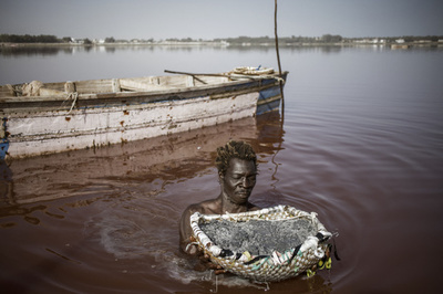 【今日の1枚】ばら色の湖で塩の収穫、セネガル