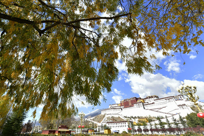 中国・チベットのポタラ宮、1000点近い貴重なタンカをデジタル化