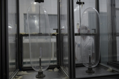 環境保護とエイズ予防、二役こなす「愛の工場」 ブラジル