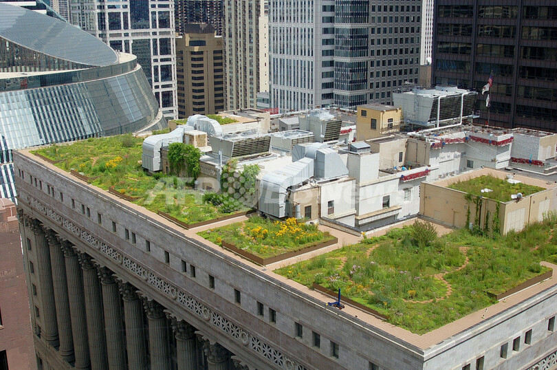 シカゴ中心部に緑のパッチワーク 世界最大の屋上緑化計画 写真2枚 国際ニュース Afpbb News