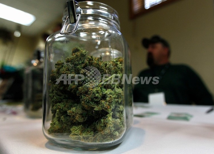 大麻吸引は精神疾患リスクを増大、欧州研究 大麻吸引は精神疾患リスクを増大、欧州研究