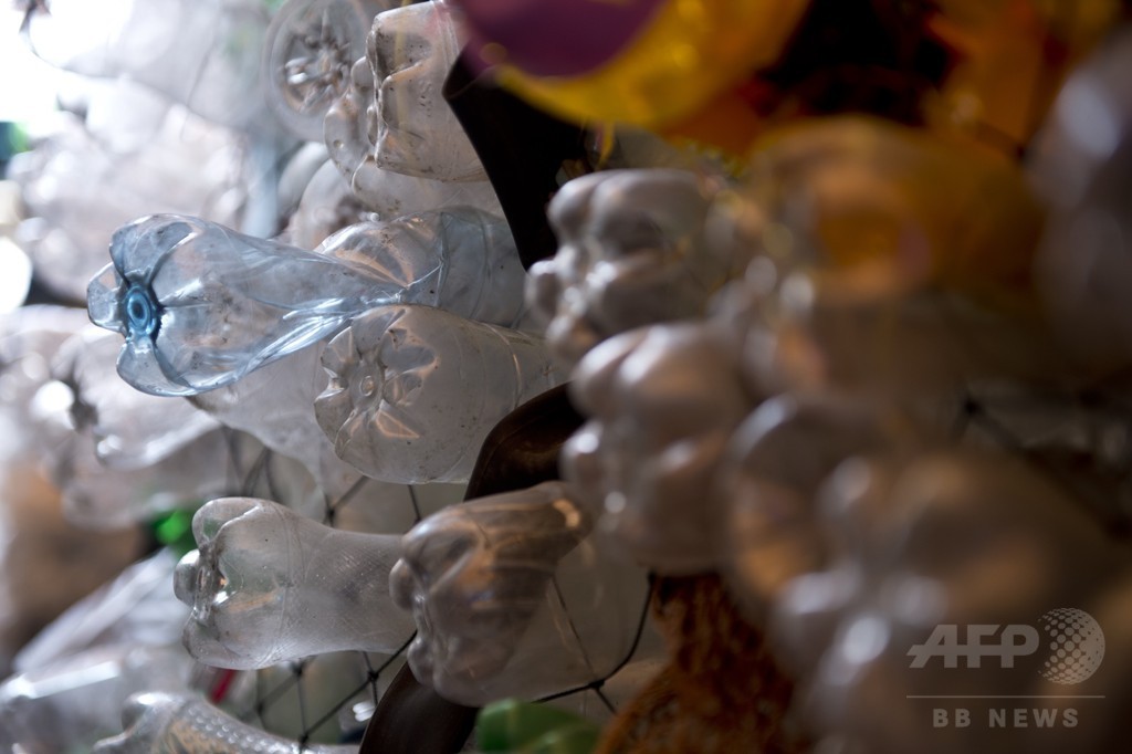 プラスチックを消化分解する酵素、研究過程で偶然作製 米英チーム プラスチックを消化分解する酵素、研究過程で偶然作製 米英チーム