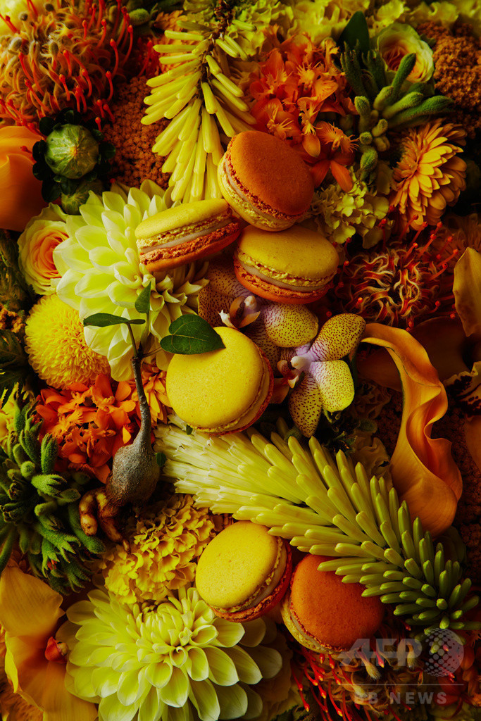 「ピエール・エルメ・パリ×東信」限定マカロンセット